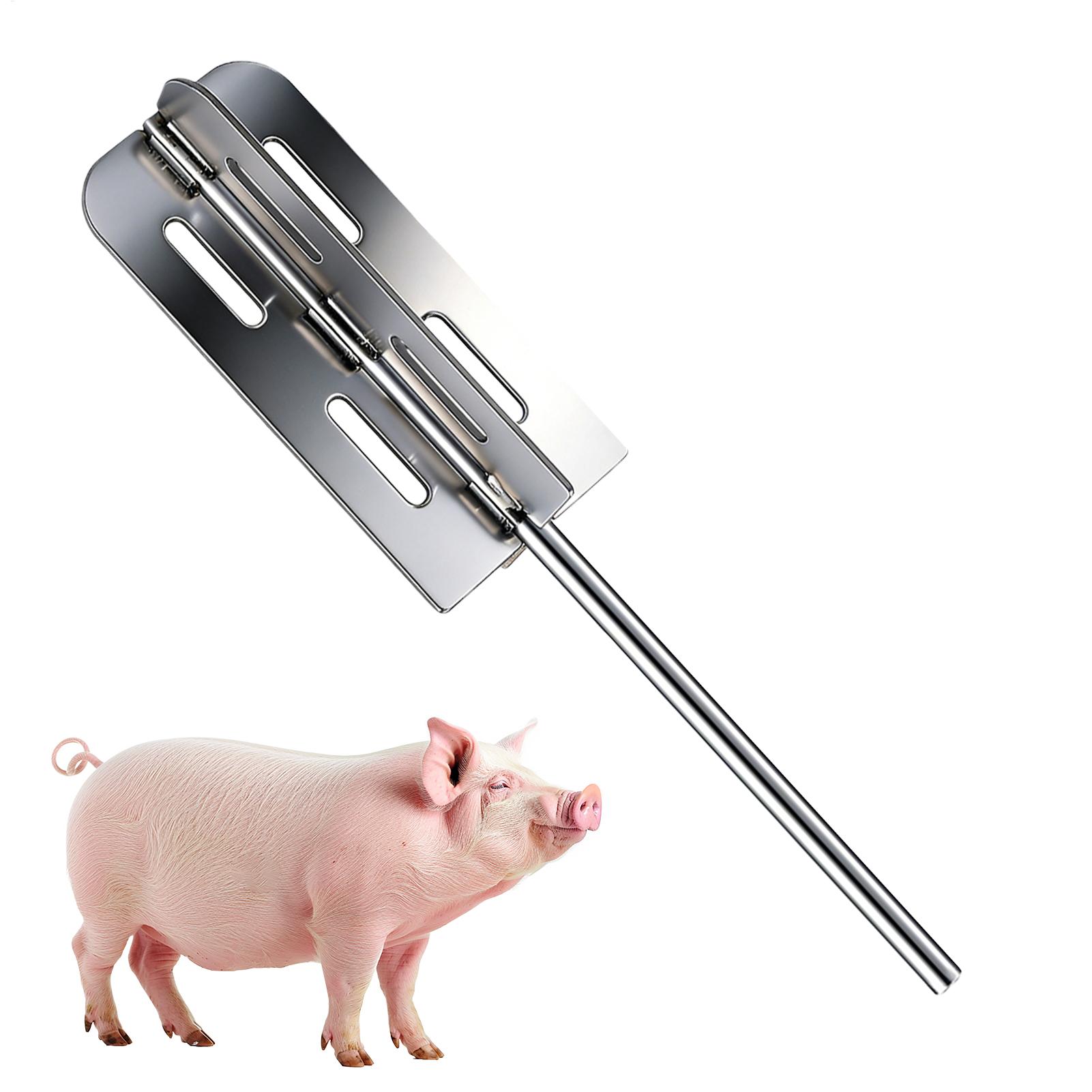 Outil d'épilation des poils de - Power Tools On Sale avis et prix